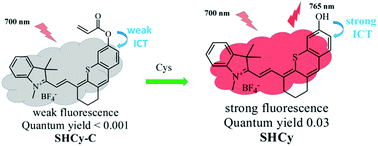 Graphical abstract: A lysosome-targeted near-infrared fluorescent probe for imaging endogenous cysteine (Cys) in living cells