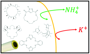 Graphical abstract: Why ammonium detection is particularly challenging but insightful with ionophore-based potentiometric sensors – an overview of the progress in the last 20 years