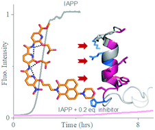 Graphical abstract: Sub-stoichiometric inhibition of IAPP aggregation: a peptidomimetic approach to anti-amyloid agents