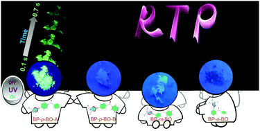 Graphical abstract: Elucidation of distinct fluorescence and room-temperature phosphorescence of organic polymorphs from benzophenone–borate derivatives