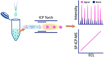 Graphical abstract: Single nanoparticle analysis for homogeneous immunoassay of CA19-9 for serological evaluation