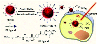 Graphical abstract: Controlled functionalization of carbon nanodots for targeted intracellular production of reactive oxygen species