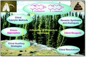 Graphical abstract: Three decades of disparlure and analogue synthesis