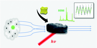 Graphical abstract: Plasmonic foam platforms for air quality monitoring