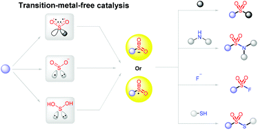 Graphical abstract: The same oxygenation-state introduction of hypervalent sulfur under transition-metal-free conditions