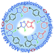 Graphical abstract: Synthesis and biological evaluation of fluoro-substituted spiro-isoxazolines as potential anti-viral and anti-cancer agents