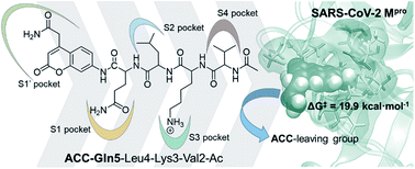 Graphical abstract: Revealing the molecular mechanisms of proteolysis of SARS-CoV-2 Mpro by QM/MM computational methods