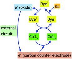 Graphical abstract: New approaches in component design for dye-sensitized solar cells