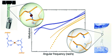 Graphical abstract: Bridging experiments and theory: isolating the effects of metal–ligand interactions on viscoelasticity of reversible polymer networks