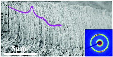 Graphical abstract: Time matters for macroscopic membranes formed by alginate and cationic β-sheet peptides