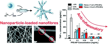 Graphical abstract: Designing responsive dressings for inflammatory skin disorders; encapsulating antioxidant nanoparticles into biocompatible electrospun fibres