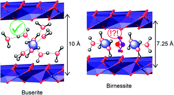 Graphical abstract: Effect of water frustration on water oxidation catalysis in the nanoconfined interlayers of layered manganese oxides birnessite and buserite