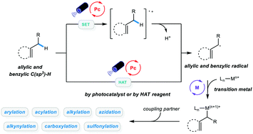 Graphical abstract: Advances in allylic and benzylic C–H bond functionalization enabled by metallaphotoredox catalysis