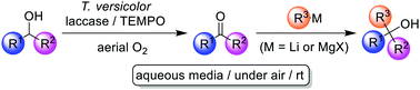 Graphical abstract: A one-pot two-step synthesis of tertiary alcohols combining the biocatalytic laccase/TEMPO oxidation system with organolithium reagents in aerobic aqueous media at room temperature