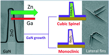 Graphical abstract: Surface-directed ZnGa2O4 and β-Ga2O3 nanofins coated with a non-polar GaN shell based on the Kirkendall effect