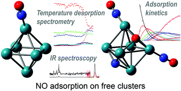 Graphical abstract: Zooming in on the initial steps of catalytic NO reduction using metal clusters