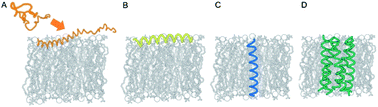 Graphical abstract: Concluding remarks: peptide–membrane interactions