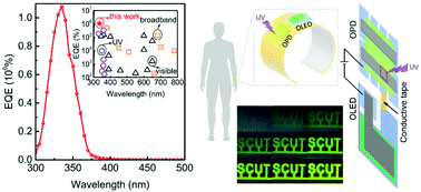 Graphical abstract: Visible-blind ultraviolet narrowband photomultiplication-type organic photodetector with an ultrahigh external quantum efficiency of over 1 000 000%