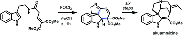 Graphical abstract: Synthesis of tetracyclic spiroindolines by an interrupted Bischler–Napieralski reaction: total synthesis of akuammicine