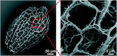 Graphical abstract: Microfluidic fabrication of hydrogel microparticles with MOF-armoured multi-enzymes for cascade biocatalytic reactions