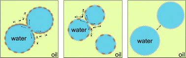 Graphical abstract: Exploring water in oil emulsions simultaneously stabilized by solid hydrophobic silica nanospheres and hydrophilic soft PNIPAM microgel