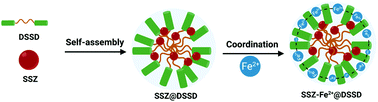 Graphical abstract: Delivery of a system xc− inhibitor by a redox-responsive levodopa prodrug nanoassembly for combination ferrotherapy