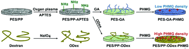 Graphical abstract: A natural polysaccharide-based antibacterial functionalization strategy for liquid and air filtration membranes