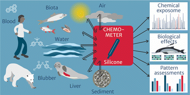 Graphical abstract: Chemometers: an integrative tool for chemical assessment in multimedia environments