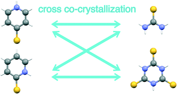 Graphical abstract: Co-crystal synthesis of 2- and 4-mercaptopyridines with thiourea and its analogue, trithiocyanuric acid