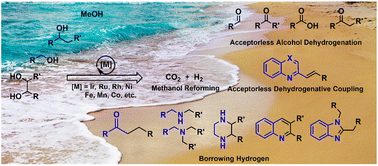 Graphical abstract: Water as a solvent: transition metal catalyzed dehydrogenation of alcohols going green