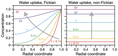 Graphical abstract: Equilibration times in viscous and viscoelastic aerosol particles