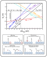 Graphical abstract: Why copper catalyzes electrochemical reduction of nitrate to ammonia