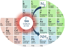 Graphical abstract: Electrochemical nitrogen reduction reaction over gallium – a computational and experimental study