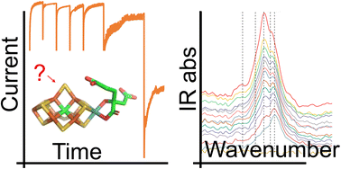 Graphical abstract: Electrochemical experiments define potentials associated with binding of substrates and inhibitors to nitrogenase MoFe protein