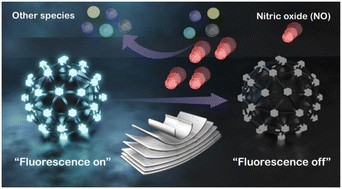 Graphical abstract: Post engineering of a chemically stable MOF for selective and sensitive sensing of nitric oxide