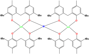 Graphical abstract: Carbon bridged biphenolate ligands in rare earth chemistry