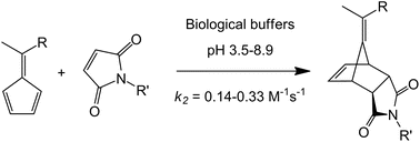 Graphical abstract: Exploring the versatility of pentafulvene–maleimide cycloaddition as a ligation strategy: buffer and pH effects