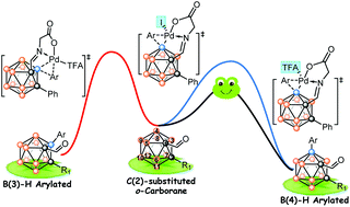 Graphical abstract: Regioselectivity of Pd-catalyzed o-carborane arylation: a theoretical view