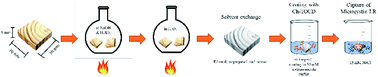 Graphical abstract: Delignified wood aerogels as scaffolds coated with an oriented chitosan–cyclodextrin co-polymer for removal of microcystin-LR