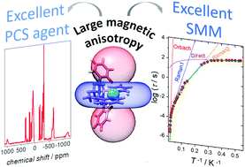 Graphical abstract: A dysprosium single molecule magnet outperforming current pseudocontact shift agents