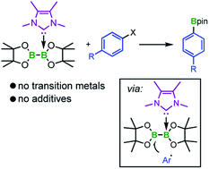 Graphical abstract: NHC induced radical formation via homolytic cleavage of B–B bonds and its role in organic reactions