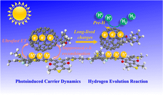 Graphical abstract: Insights into photoinduced carrier dynamics and hydrogen evolution reaction of organic PM6/PCBM heterojunctions