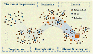 Graphical abstract: Growth mechanism of metal halide perovskite single crystals in solution