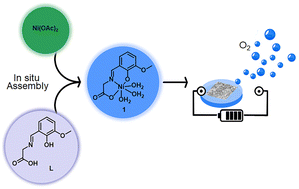 Graphical abstract: In situ assembly of nickel-based ultrathin catalyst film for water oxidation