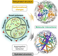 Graphical abstract: Deep eutectic solvents induced changes in the phase transition behavior of smart polymers: a sustainable future approach