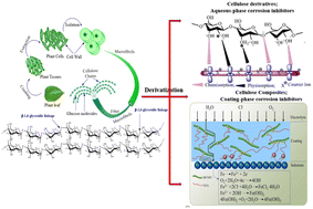 Graphical abstract: Cellulose, cellulose derivatives and cellulose composites in sustainable corrosion protection: challenges and opportunities