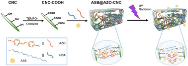 Graphical abstract: Preparation of UV-responsive hydrogels based on nanocellulose and their utilization in fungicide delivery