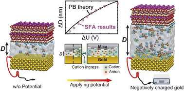 Graphical abstract: Real-time visualisation of ion exchange in molecularly confined spaces where electric double layers overlap