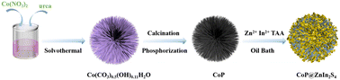 Graphical abstract: Construction of a hierarchical CoP@ZnIn2S4 heterojunction for photocatalytic hydrogen evolution