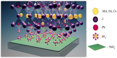 Graphical abstract: Interfacial modification between NiOx and perovskite layers with hexafluorophosphate salts for enhancing device efficiency and stability of perovskite solar cells